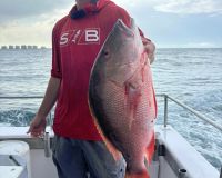 499865403 699327956079068 n