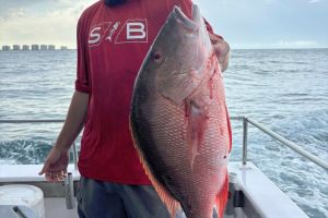 499865403 699327956079068 n