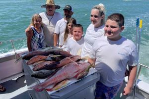 499869179 700026976009166 n