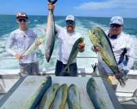 503649991 704840245527839 n