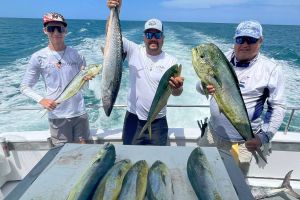 503649991 704840245527839 n