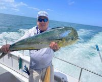 503740138 704840342194496 n