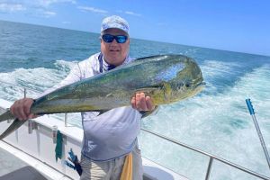 503740138 704840342194496 n