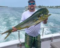 514535371 725378243474039 n