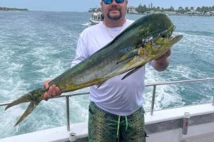 514535371 725378243474039 n