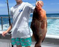 515505249 729247829753747 n