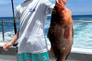 515505249 729247829753747 n