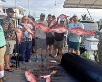 518207887 736547239023806 n