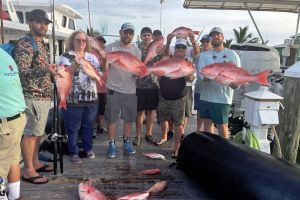 518207887 736547239023806 n