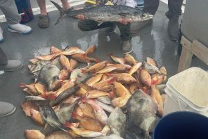 618219633 887263483952180 n