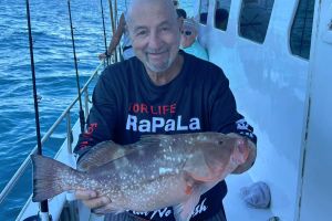 618577049 889858763692652 n