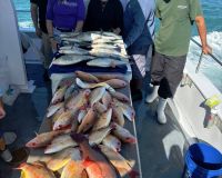 619911773 889858813692647 n