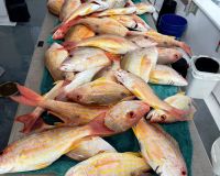 622698773 894851246526737 n