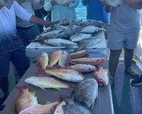 633657784 909704165041445 n