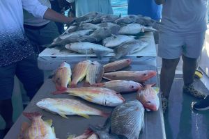 633657784 909704165041445 n