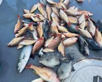 637870614 912495784762283 n