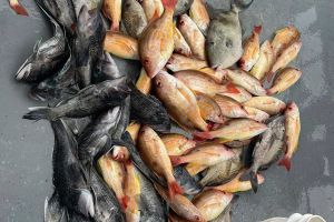 638840634 915455954466266 n