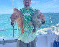 640135622 915455994466262 n