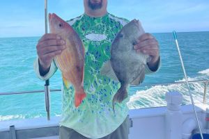 640135622 915455994466262 n