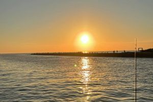 641269020 913029408042254 n