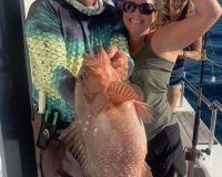 641365910 915455941132934 n