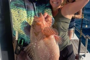 641365910 915455941132934 n