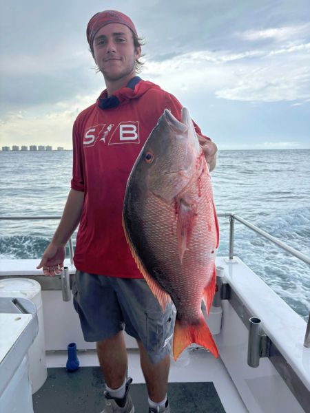 499865403 699327956079068 n