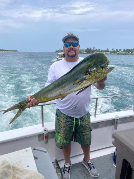 514535371 725378243474039 n