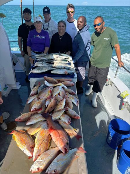 619911773 889858813692647 n